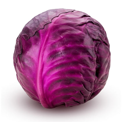 Fresh Red Cabbage