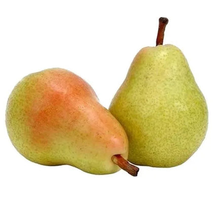 Fresh Beauty Pear